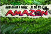 Amazon Project